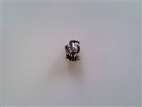 Charm Trollbeads Femme in Argent TAGBE-10242 - TAGBE-10242